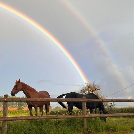 Penzion La Laiterie Steenwerck Exteriér fotografie